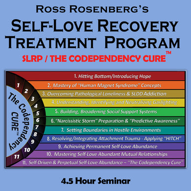The 11-Stage Self-Love Recovery Treatment Program (4.5 hours)
