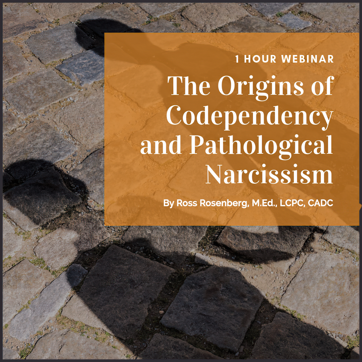 Full Webinar: The Origins of Codependency and Pathological Narcissism (1 Hour) (Download)